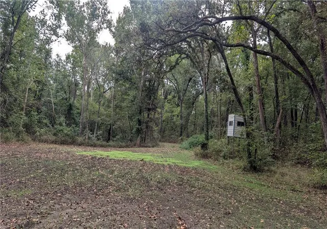 Photo 3 of Land for sale at 5740 731 Road, Collins, MO 64738 | MLS# 2645905 | Listing updated on 2026-10-07