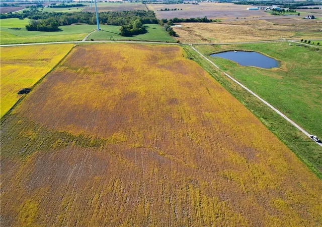 Photo 4 of Land for sale at US 169 Hwy, King City, MO 64463 | MLS# 2645924 | Listing updated on 2026-10-08