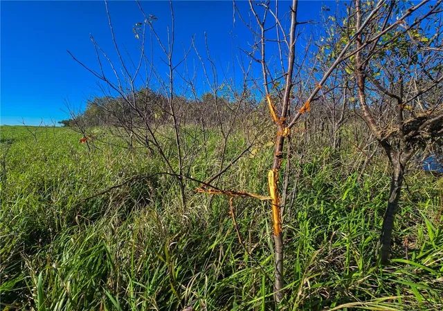 Photo 3 of Land for sale at Skiddy Rd, Junction City, KS 66441 | MLS# 2645979 | Listing updated on 2026-10-07