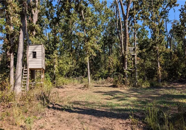 Photo 2 of Land for sale at 5740b 731 Road, Collins, MO 64738 | MLS# 2646080 | Listing updated on 2026-10-08