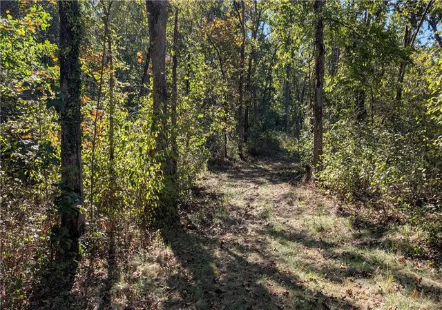 Photo 3 of Land for sale at 5740b 731 Road, Collins, MO 64738 | MLS# 2646080 | Listing updated on 2026-10-08