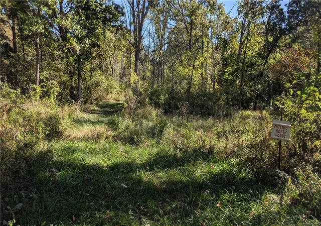 Photo 4 of Land for sale at 5740b 731 Road, Collins, MO 64738 | MLS# 2646080 | Listing updated on 2026-10-08