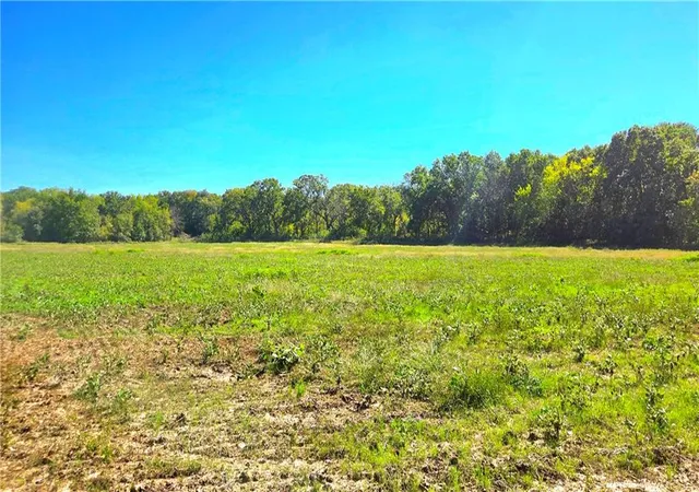 Photo 3 of Land for sale at 00000 E 1000 Road, Pleasanton, KS 66075 | MLS# 2646257 | Listing updated on 2026-10-09