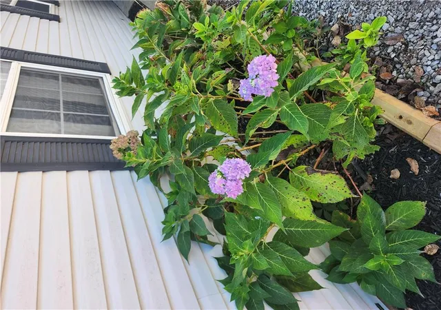 Photo 3 of Single family home for sale at 114 Kansas Dr, Linn Valley, KS 66040 | MLS# 2646375 | Listing updated on 2026-10-10