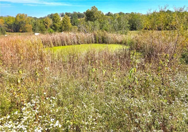 Photo 3 of Sale Pending at 00000 E 900 Road, Pleasanton, KS 66075 | MLS# 2646473 | Listing updated on 2026-10-13