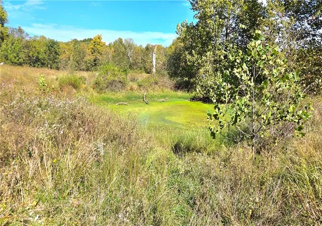 Photo 4 of Sale Pending at 00000 E 900 Road, Pleasanton, KS 66075 | MLS# 2646473 | Listing updated on 2026-10-13