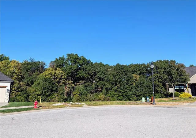 Photo 3 of Land for sale at 1810 Falcon Ct, Kearney, MO 64060 | MLS# 2646593 | Listing updated on 2026-10-11