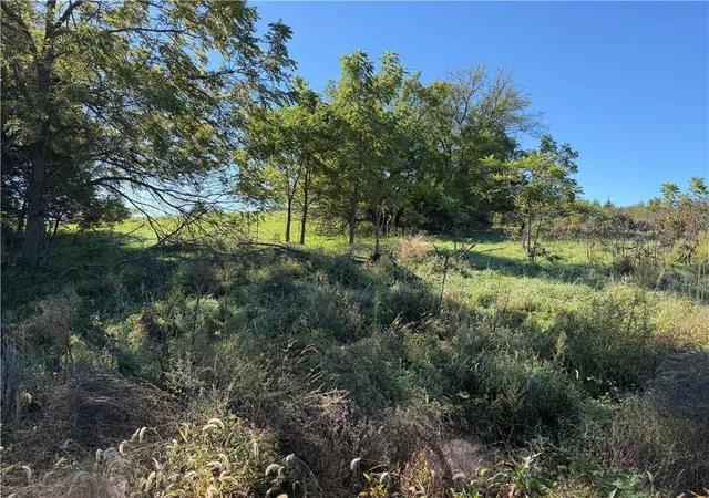 Photo 4 of Land for sale at 2998 NW Ogle Rd, Maysville, MO 64422 | MLS# 2646601 | Listing updated on 2026-10-11