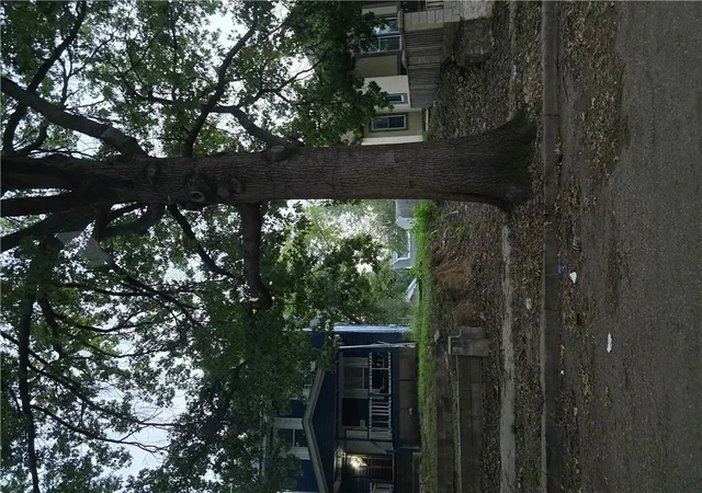 Photo 3 of Land for sale at 3909 Morrell Ave, Kansas City, MO 64123 | MLS# 2646846 | Listing updated on 2026-10-15