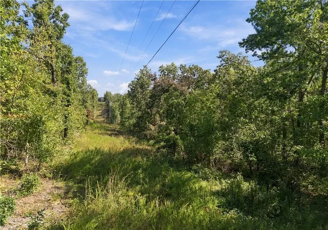 Photo 3 of Sale Pending at 894 1135 Road, Deepwater, MO 64740 | MLS# 2647051 | Listing updated on 2026-10-17