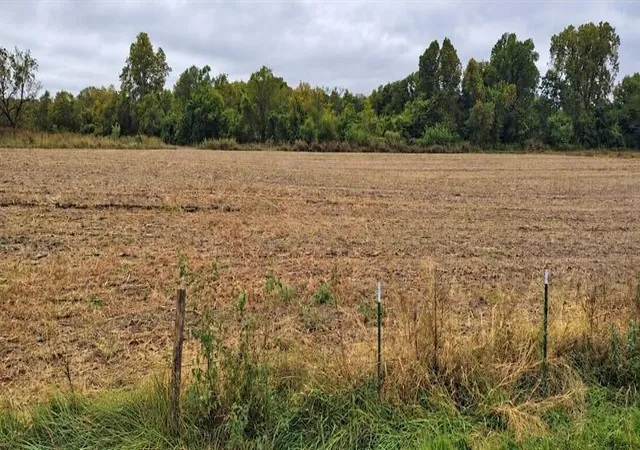 Photo 1 of Land for sale at Tbd Owl Crk Rd, Odessa, MO 64076 | MLS# 2647173 | Listing updated on 2026-10-19
