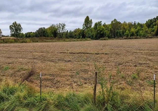 Photo 2 of Land for sale at Tbd Owl Crk Rd, Odessa, MO 64076 | MLS# 2647173 | Listing updated on 2026-10-19