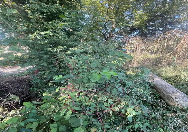 Photo 1 of Land for sale at 1645 Bristol Ave, Kansas City, MO 64126 | MLS# 2647355 | Listing updated on 2026-10-16