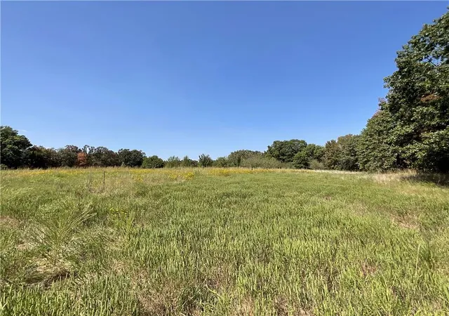 Photo 3 of Land for sale at 690th Avenue, Arcadia, KS 66711 | MLS# 2648883 | Listing updated on 2026-10-29