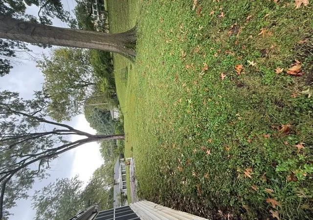 Photo 2 of Single family home for sale at 905 W 93rd Street, Kansas City, MO 64114 | MLS# 2649080 | Listing updated on 2026-10-28