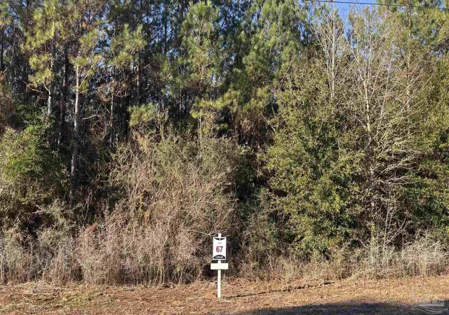 2nd image of Lot 67 Straw Bridge Rd, Allentown, FL 32565 | MLS# 675099