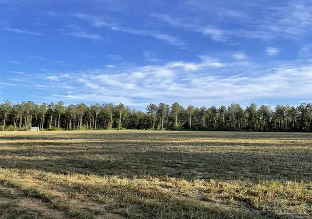 1st image of 6950 Luth Rd, Molino, FL 32577 | MLS# 681446