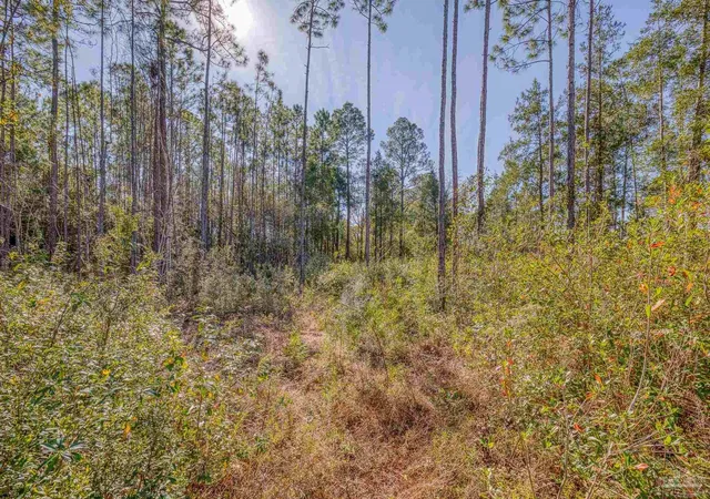 3rd image of 00 Petersen Pt Rd, Milton, FL 32583 | MLS# 676485