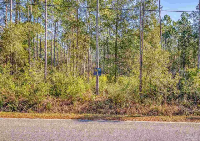 5th image of 00 Petersen Pt Rd, Milton, FL 32583 | MLS# 676485