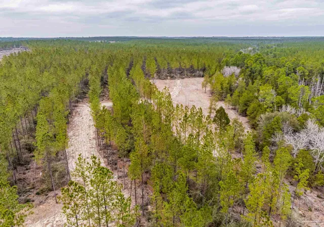 Photo 3 of Land for sale at 9318 Indian Frd Rd #Parcel A 22+/-, Milton, FL 32570 | MLS# 673355 | Listing updated on 2026-09-26