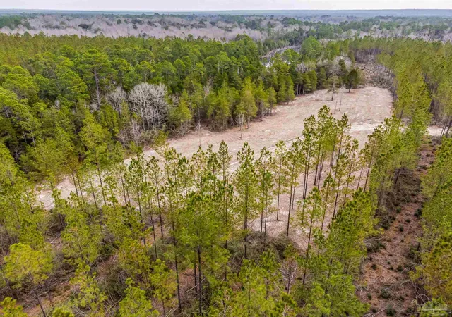 Photo 3 of Land for sale at 9318 Indian Frd Rd #Parcel A 22+/-, Milton, FL 32570 | MLS# 673355 | Listing updated on 2026-09-26
