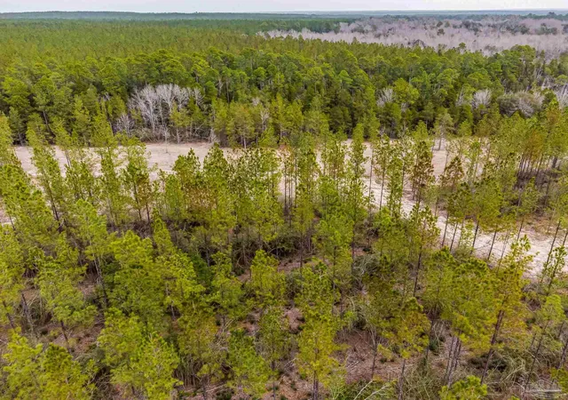 Photo 4 of Land for sale at 9318 Indian Frd Rd #Parcel A 22+/-, Milton, FL 32570 | MLS# 673355 | Listing updated on 2026-09-26