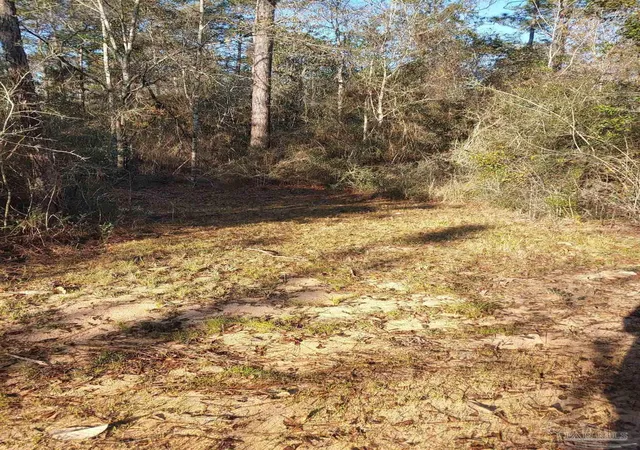10th image of 4874 Seely Rd, Molino, FL 32577 | MLS# 681313