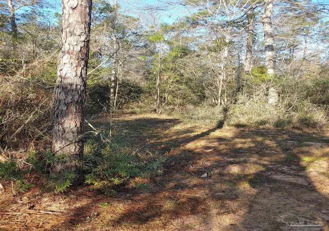 2nd image of 4874 Seely Rd, Molino, FL 32577 | MLS# 681313