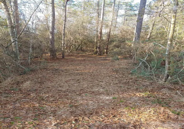 3rd image of 4874 Seely Rd, Molino, FL 32577 | MLS# 681313