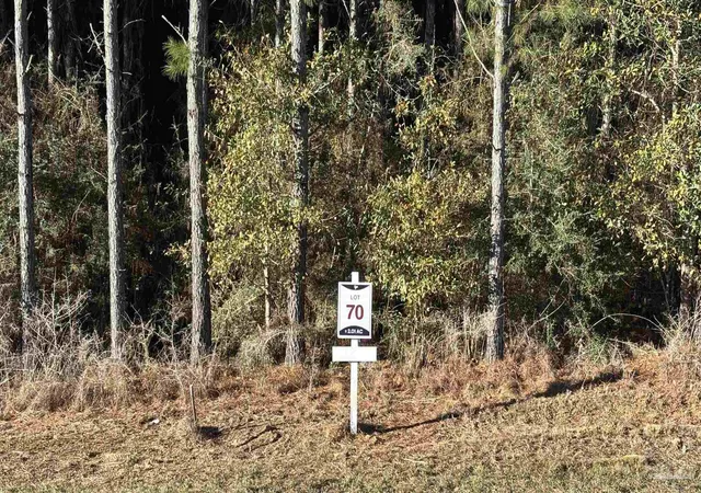 1st image of Lot 70 Straw Bridge Rd, Allentown, FL 32565 | MLS# 675104