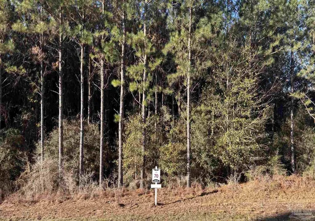 2nd image of Lot 70 Straw Bridge Rd, Allentown, FL 32565 | MLS# 675104