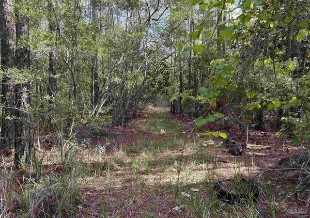 Photo 3 of Land for sale at Riola Pl, Pensacola, FL 32506 | MLS# 688203 | Listing updated on 2026-09-03