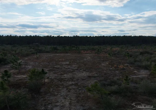 Homes for sale in Jay, FL | 4320 Hwy 182, Jay, FL 32565 | MLS# 685400