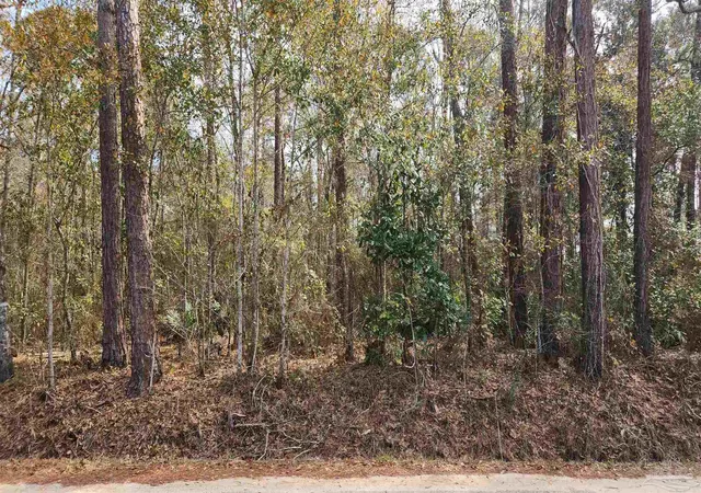 Land for sale at Pearson Rd, Milton, FL 32583 | MLS# 677862