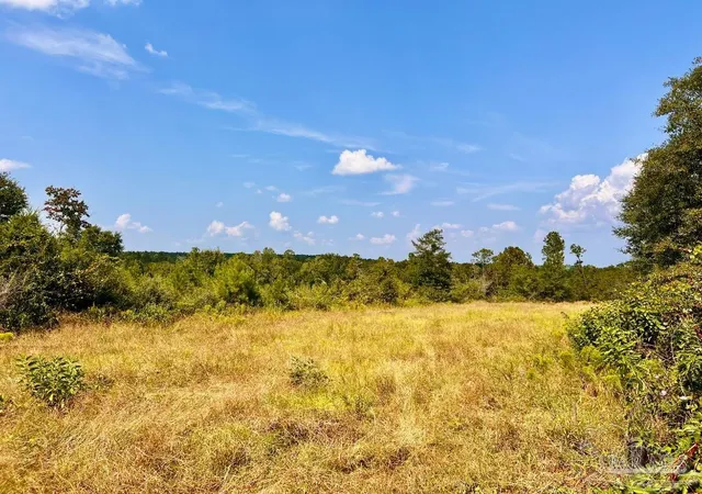 1st image of Lot 16 Morgans Branch, Molino, FL 32577 | MLS# 671741