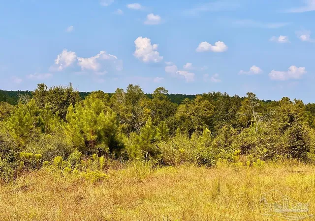 2nd image of Lot 16 Morgans Branch, Molino, FL 32577 | MLS# 671741
