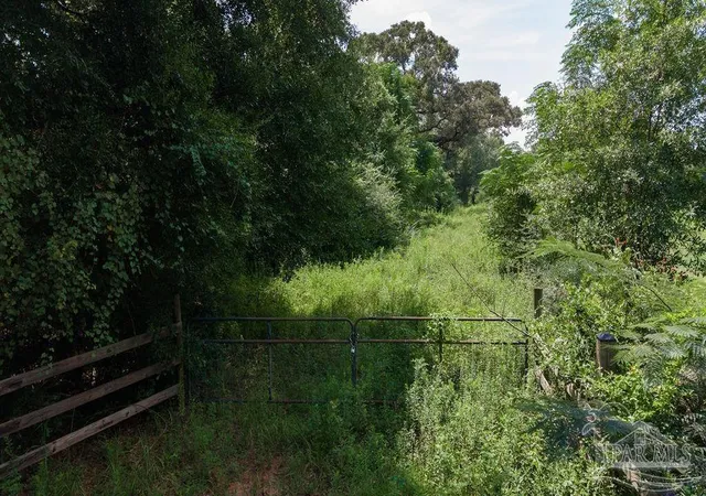 Land for sale at 2570 Wade Rd, Jay, FL 32565 | MLS# 688341