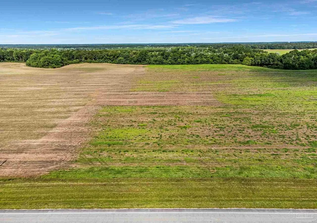 1st image of Lot 5 & 6 Hwy 97, Walnut Hill, FL 32568 | MLS# 683161