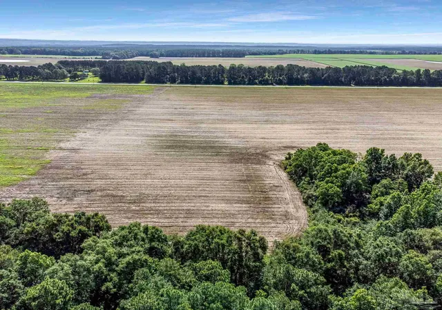 3rd image of Lot 5 & 6 Hwy 97, Walnut Hill, FL 32568 | MLS# 683161