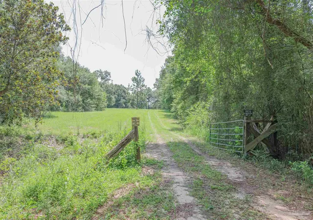 Photo 3 of Land for sale at 1400 Jacks Branch Rd, Cantonment, FL 32533 | MLS# 685614 | Listing updated on 2026-07-20