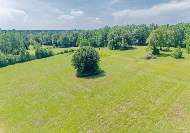 Photo 4 of Land for sale at 1400 Jacks Branch Rd, Cantonment, FL 32533 | MLS# 685614 | Listing updated on 2026-07-20