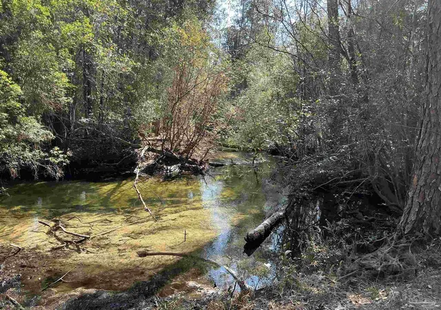 Photo 1 of Land for sale at Lot 10 Brook Xing St, Pace, FL 32571 | MLS# 677650 | Listing updated on 2026-07-17