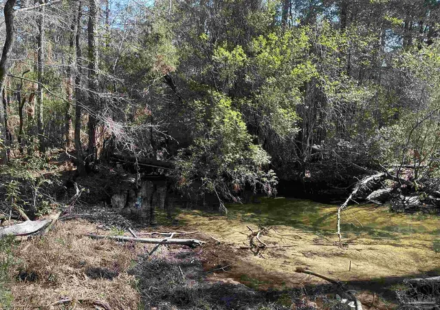 Photo 2 of Land for sale at Lot 10 Brook Xing St, Pace, FL 32571 | MLS# 677650 | Listing updated on 2026-07-17