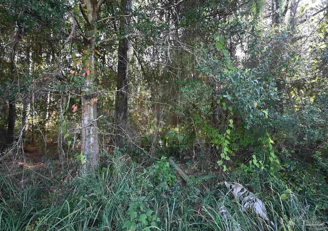 1st image of 6421 Michigan Ave, Milton, FL 32583 | MLS# 672605