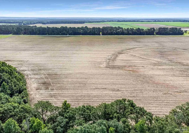 5th image of Lots 2 & 3 Tungoil Rd, Walnut Hill, FL 32568 | MLS# 683150