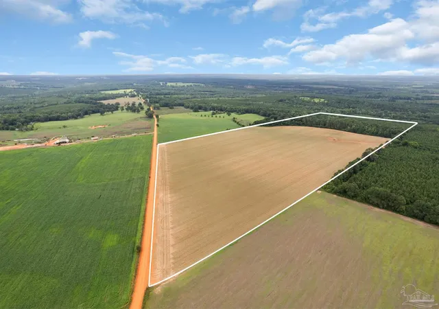 1st image of 0 Old Stage Rd, Repton, AL 36475 | MLS# 684531