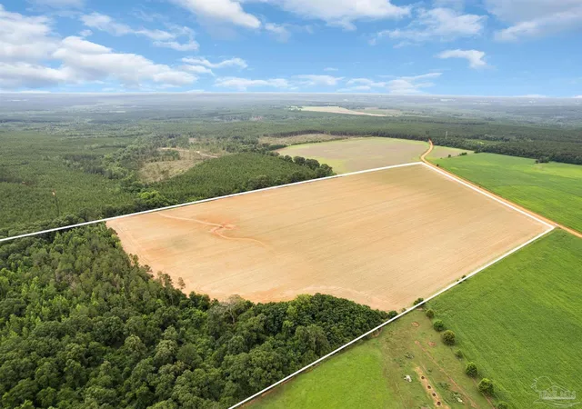 3rd image of 0 Old Stage Rd, Repton, AL 36475 | MLS# 684531