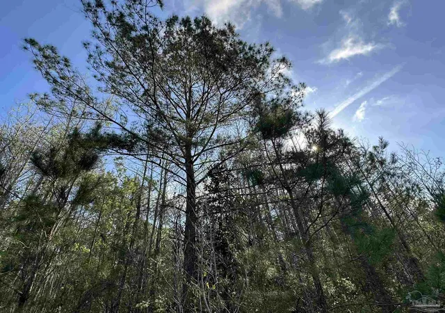 1st image of Lot E Snider Rd, Frisco City, AL 36445 | MLS# 682799