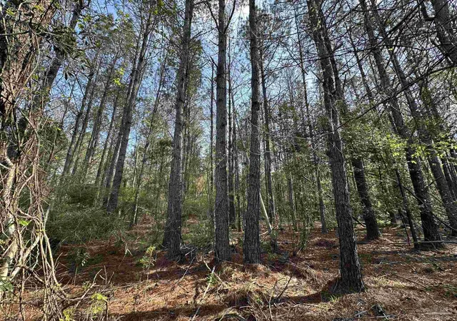 2nd image of Lot E Snider Rd, Frisco City, AL 36445 | MLS# 682799