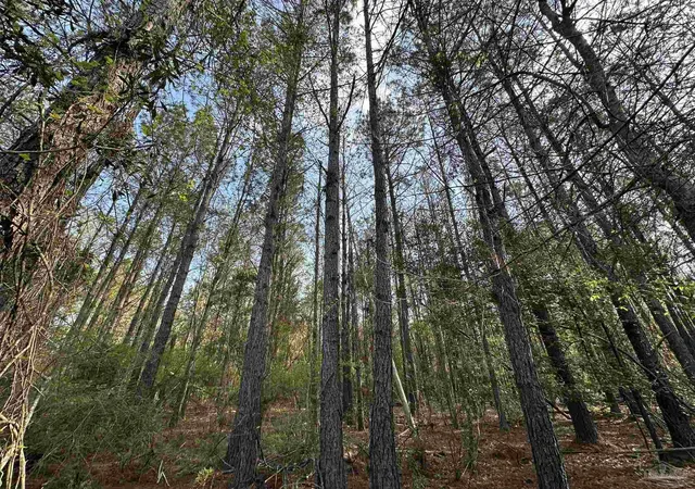 Photo 3 of Land for sale at Lot E Snider Rd, Frisco City, AL 36445 | MLS# 682799 | Listing updated on 2026-06-04